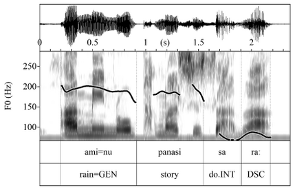 Pitch contour for Type H noun ami=nu, with level high pitch across the bunsetsu.