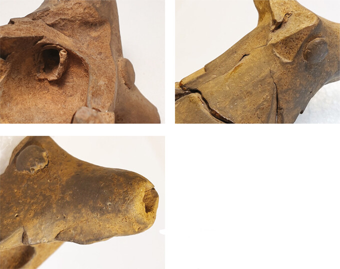 A: The hole in the muzzle of NAM P4705 was made from the outside. BâC: Close-ups of the zoomorphic head NAM P4705 showing the fabric and how the animalâs mane on the back, the chin beard under the jaw and the pellet eyes have been put on after the first moulding.