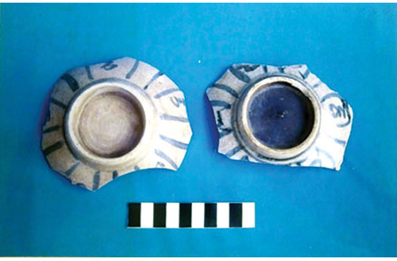 figure 24
