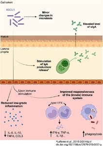 Figure 11