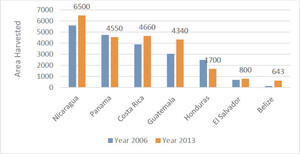 Performance of area harvested in Central American Cocoa-Producing Countries â 2006 and 2013 (in ha). Source: taken from Arvelo et al. (2017) based on 2016 data from FAO (2021).
