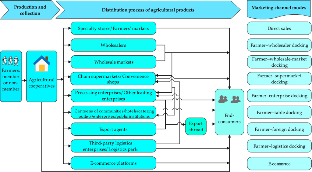 Systematic utilization mechanism of marketing channels in agricultural cooperatives in China.