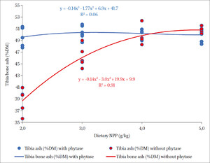 Correlation scatter plat of dietary NPP concentrations and percentage tibia bone ash content of birds fed diets with or without phytase supplementation at day 21; Experiment 1