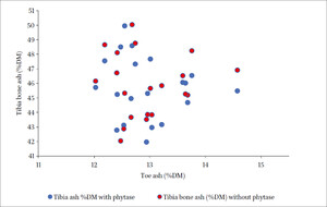Correlation scatter plot of percentage tibia bone ash and toe ash of birds fed diets with or without phytase supplementation at day 49; Experiment 2