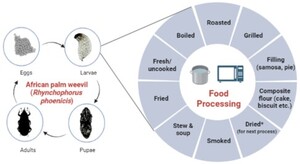 Figure 3