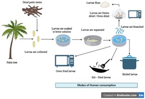 Figure 6
