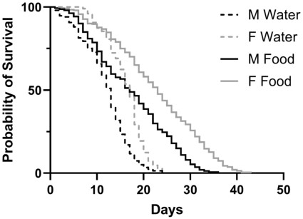 Survival of male and female BSF given only water or a diet of 1:8 yeast: molasses (5% molasses concentration). Males and females were fed a 1:8 yeast: molasses diet lived longer than when they were only provided water. The median survival of unfed or fed females was greater than unfed or fed males, respectively (all $p <0.0001$). Flies were 0-24 hours old on day 0. Dashed lines indicate water only, solid lines indicate food was provided. Grey lines are females, black lines are males.