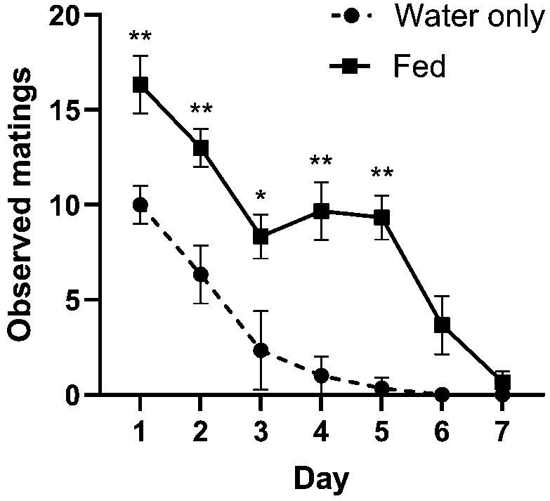 Number of observed mating pairs in cages provided with water only versus a diet of 1:8 yeast:5% molasses. More matings were observed on days 1-5 when flies were fed a diet of yeast and molasses compared to being provided only water (Tukey's MCT; all $p<0.0204$). Asterisks indicate significant differences between fed (solid) and unfed (dashed) treatments by day. \tsup{$*$} ~$p< 0.05$, \tsup{$**$} ~$p< 0.01$. Means with SD error bars.