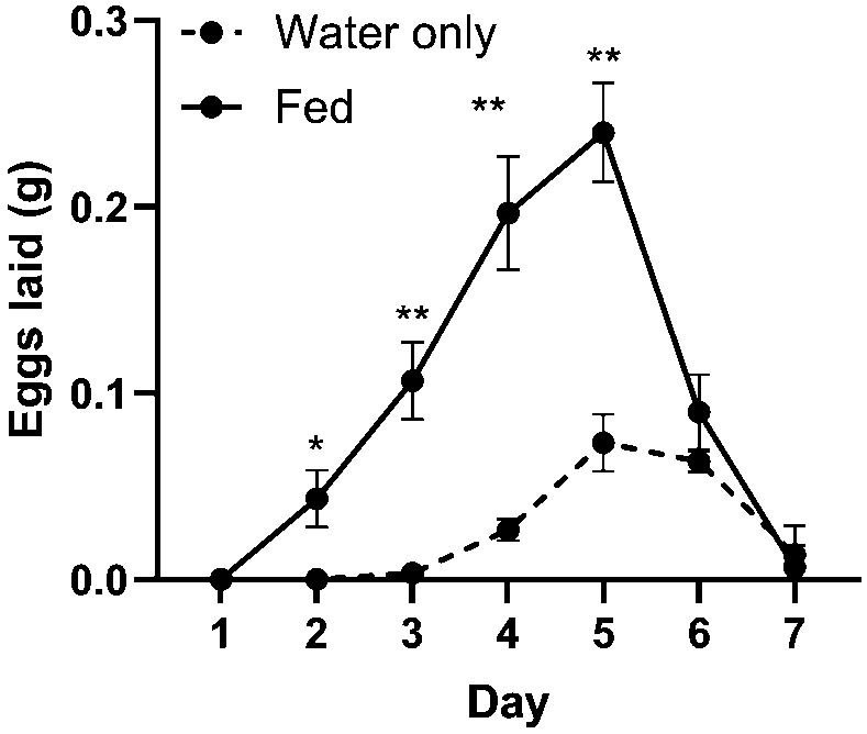 Mass of eggs laid by females in cages provided with water only versus a diet of 1:8 yeast:5% molasses. Females laid more eggs per day on days 2-5, and began egg lay sooner, when fed a diet of yeast and molasses compared to being provided only water (all $p< 0.0389$). Asterisks indicate significant differences between fed (solid) and unfed (dashed) treatments by day. \tsup{$*$} $p< 0.05$, \tsup{$**$} $p< 0.01$. Means with SD error bars.