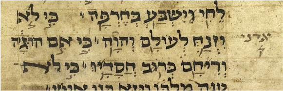 d188382682e1462