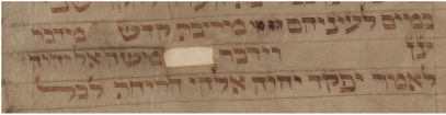 d188389501e696
