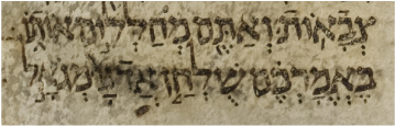 d188389501e1032