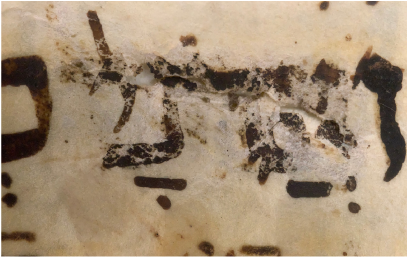 d188389501e1194