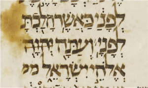 d188389501e221