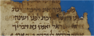 d188389501e267