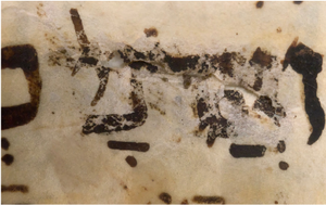 d188389501e1194