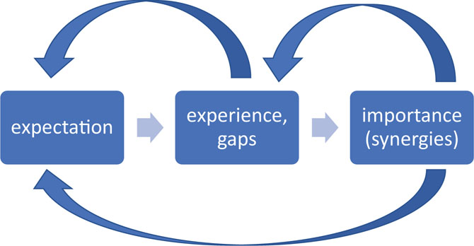 Creation of synergies: expectation, experience and importance