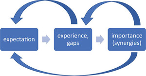 Creation of synergies: expectation, experience and importance