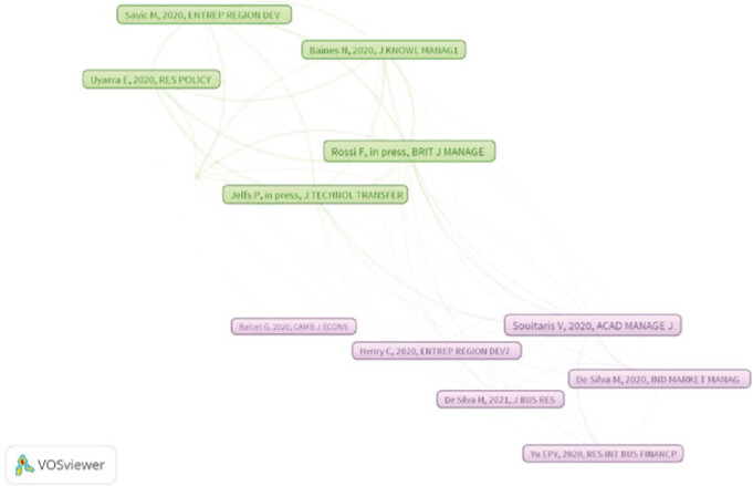 Map of the bibliographic coupling among 12 citing articles. Grouping and visualization using VOSViewer
