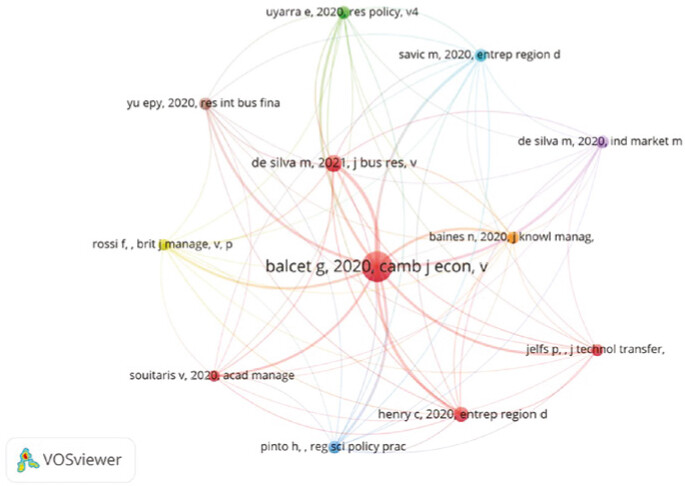 Synergy map among the 12 articles in the sample. Grouping and visualization using VOSViewer