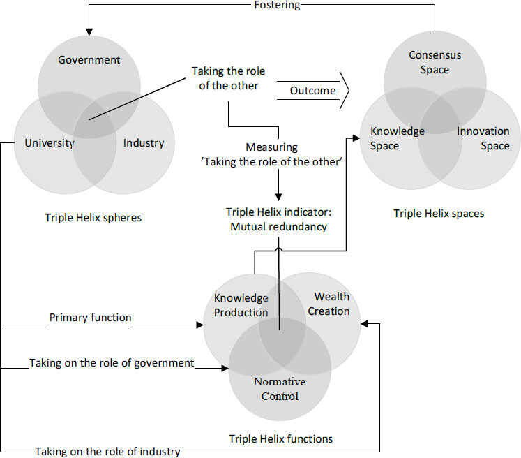 Integration of Neo-Institutional and Neo-Evolutionary Perspectives on the Triple Helix