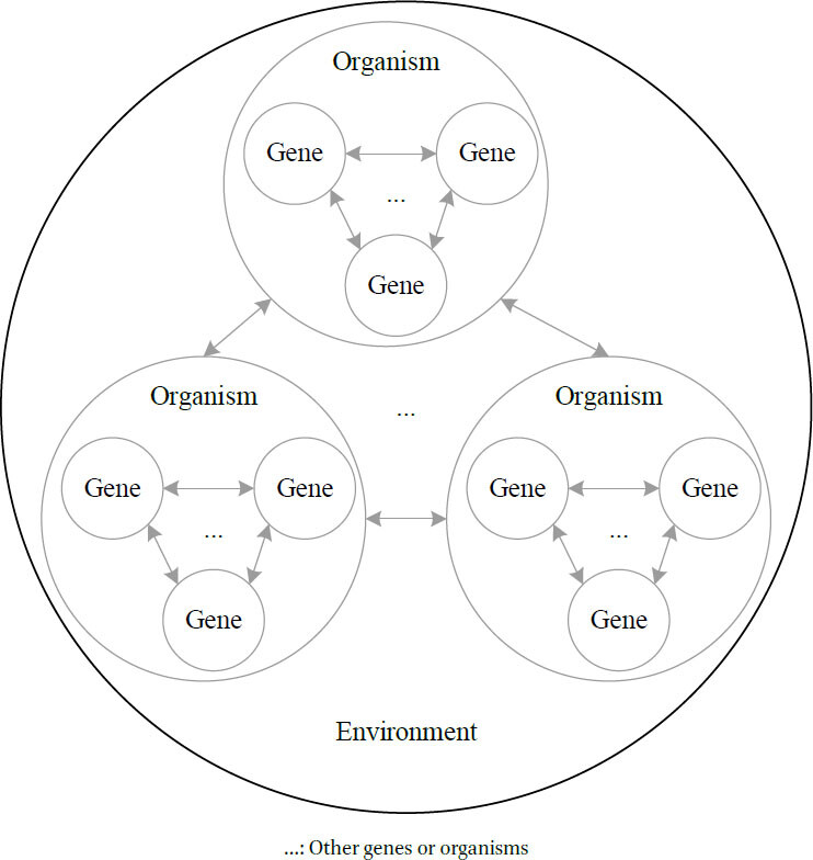 Spatial Relations between Genes, Organisms and the Environment