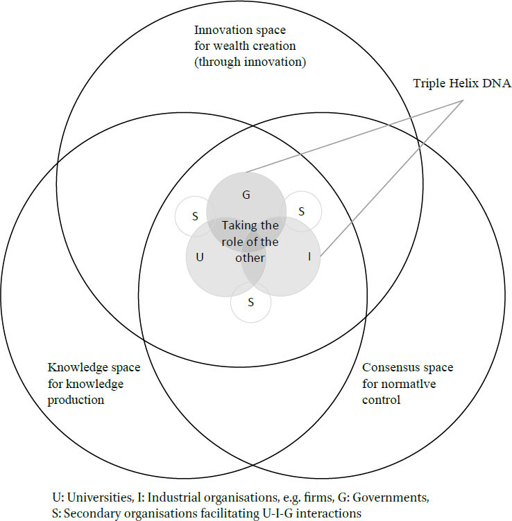 Innovation Genes/Innovation Dynamics