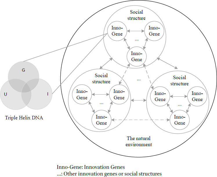 Co-evolution (Co-creation) relations between Innovation Genes, Social Strctures and the Natural Environment